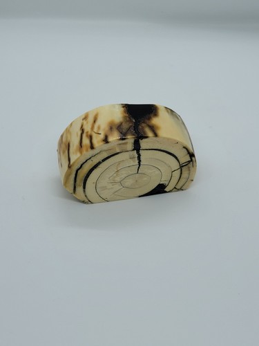 Stabilized mammoth tusk - mammoth,