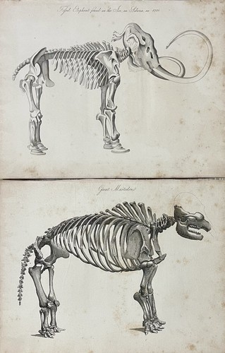 1830 set large extremely - 1830, of